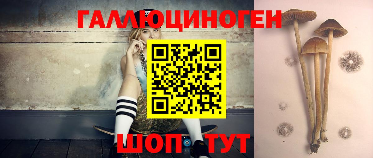 Псилоцибиновые грибы Psilocybe Норильск