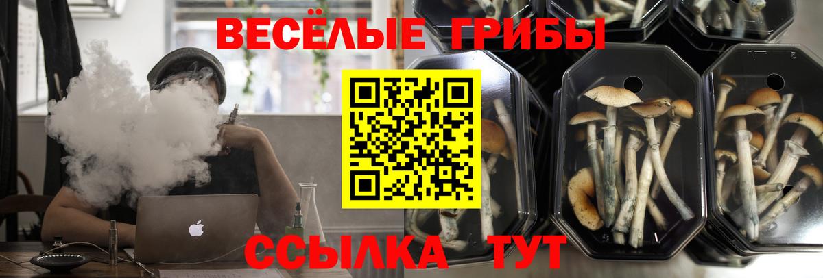 наркота  Вход с VPN  Норильск  Псилоцибиновые грибы Magic Shrooms 